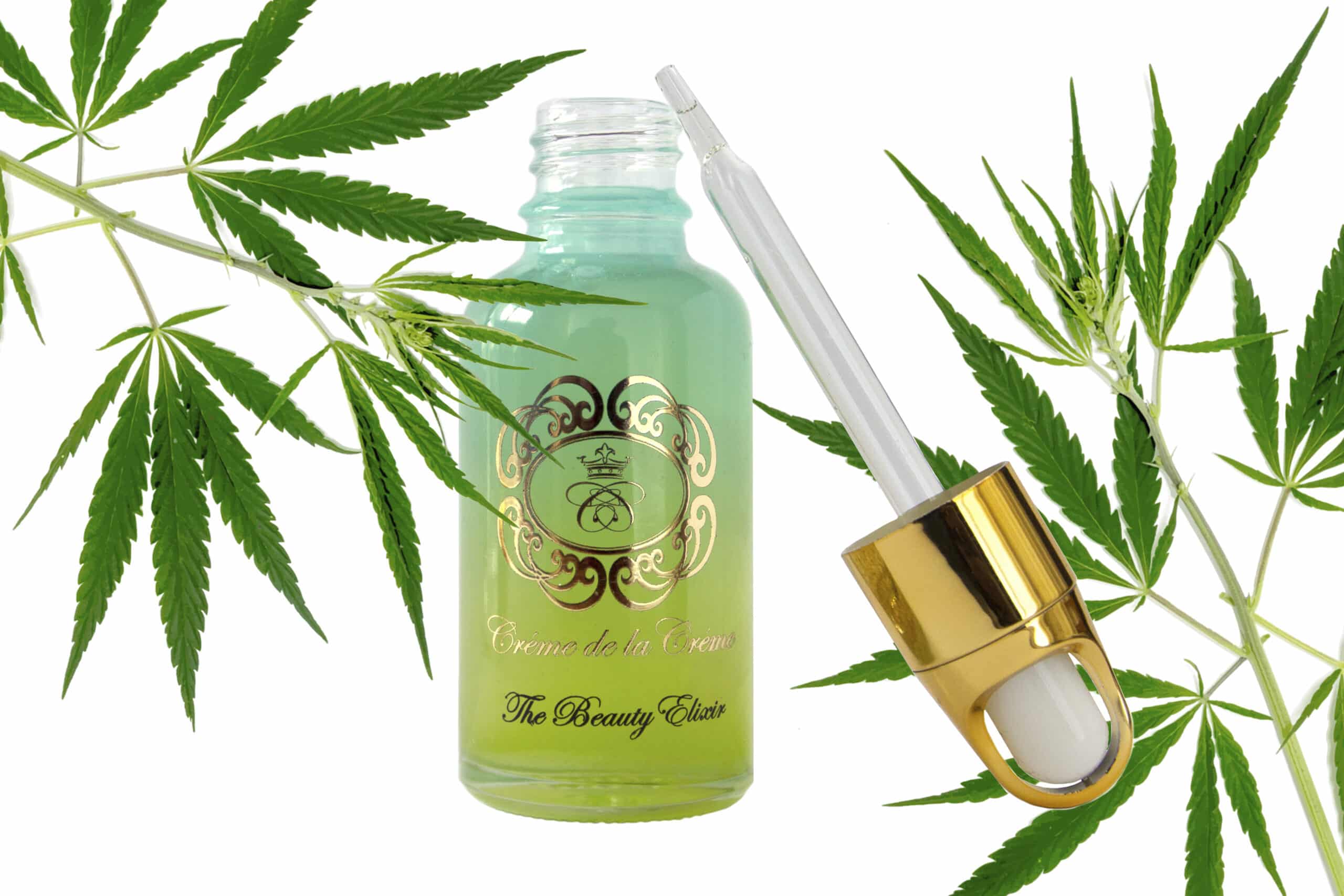Winter Skin, glass bottle with hemp infused face oil, gold dropper and cannabis leaves in background